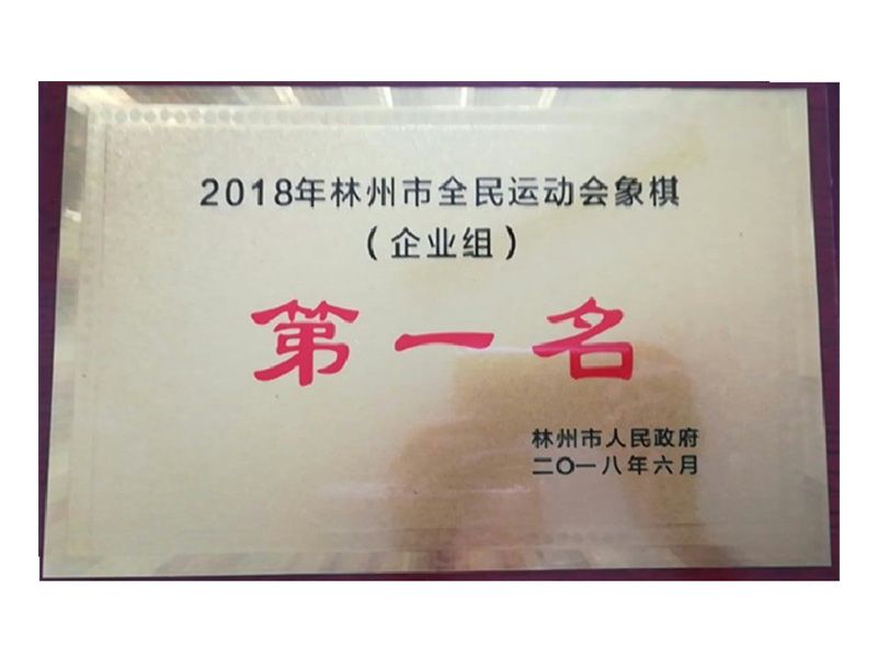 林州市全民 運(yùn)動(dòng)會企業(yè)組象棋第 一名