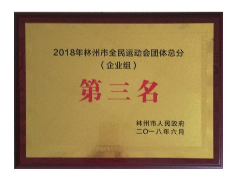 林州市全民 運(yùn)動(dòng)會企業(yè)組團(tuán)體總得分第三名